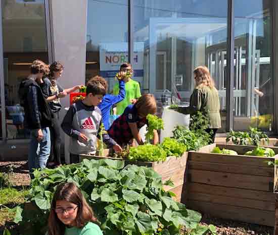 Beaver Falls Downtown Plan