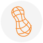 peanut icon